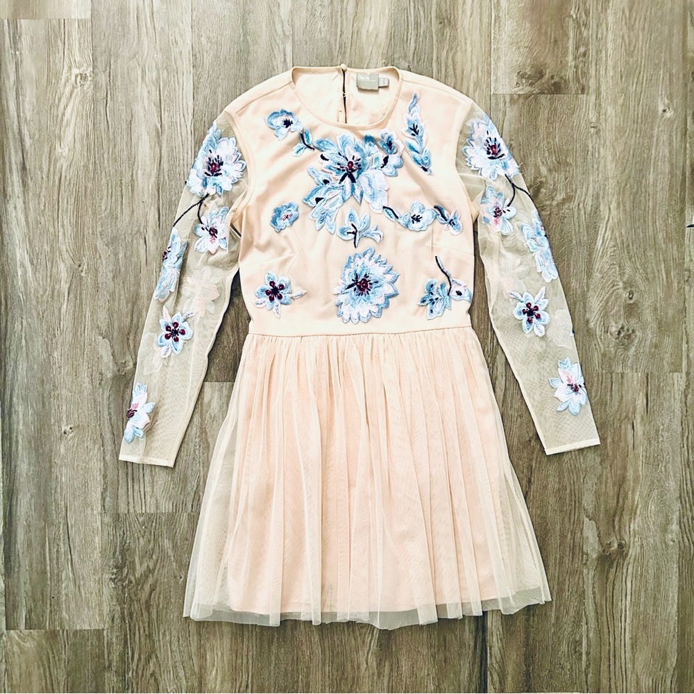 ASOS Blush embroidered mini dress with tulle skirt